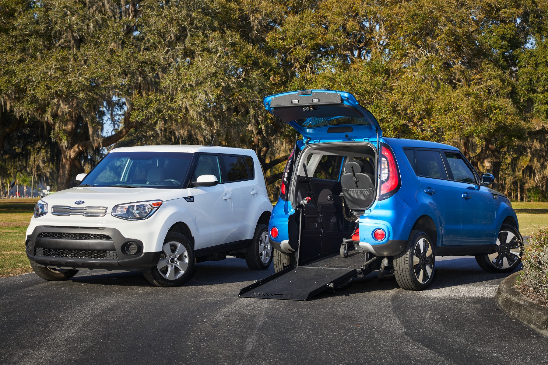 Two Kia Soul SUVs parked with trees in the background.